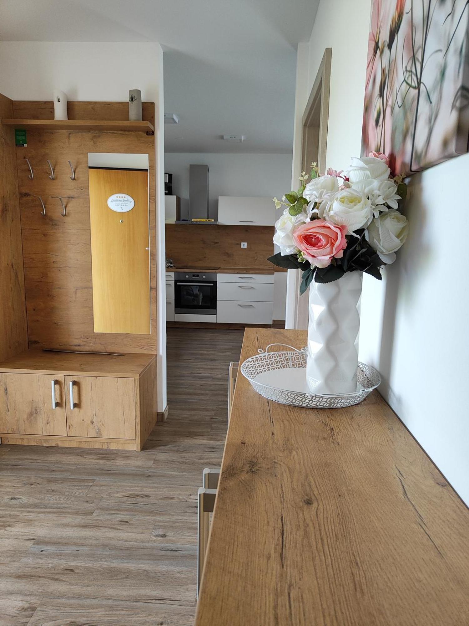 Family Apartment Moravske Toplice Zewnętrze zdjęcie